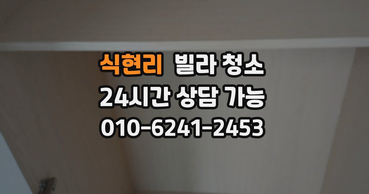 식현리 빌라 청소