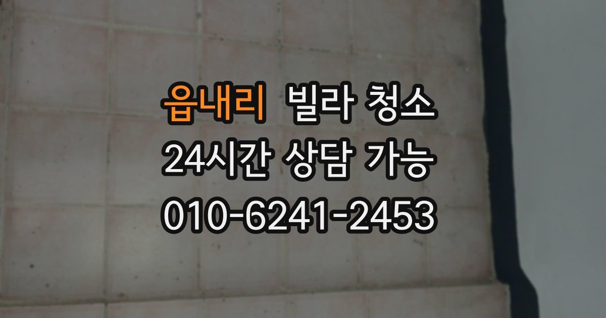 읍내리 빌라 청소