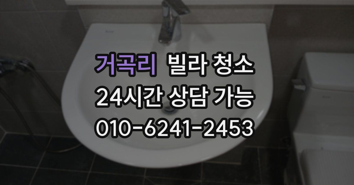 거곡리 빌라 청소