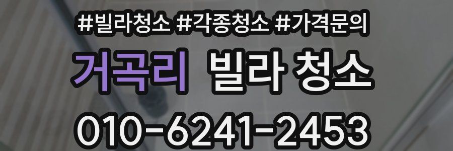 거곡리 빌라 청소