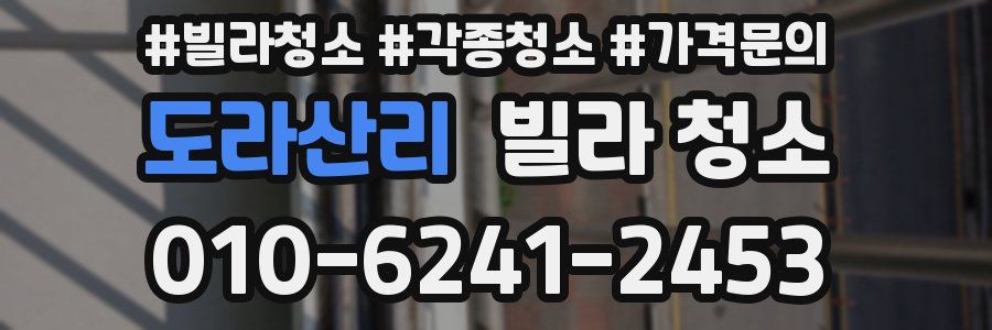 도라산리 빌라 청소