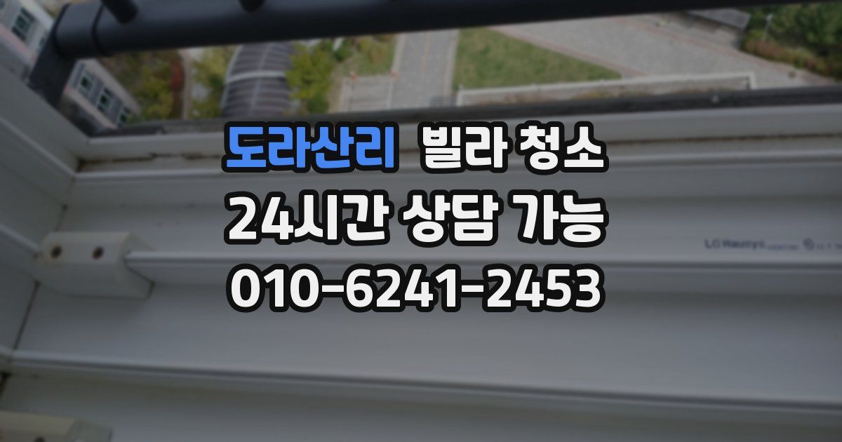 도라산리 빌라 청소