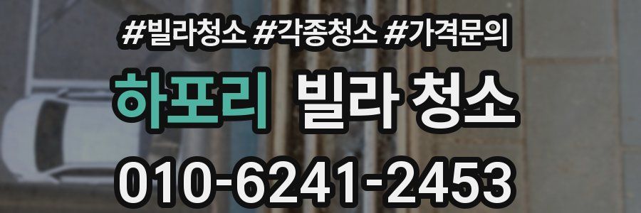 하포리 빌라 청소