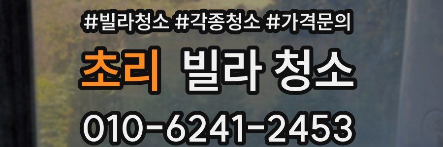 초리 빌라 청소