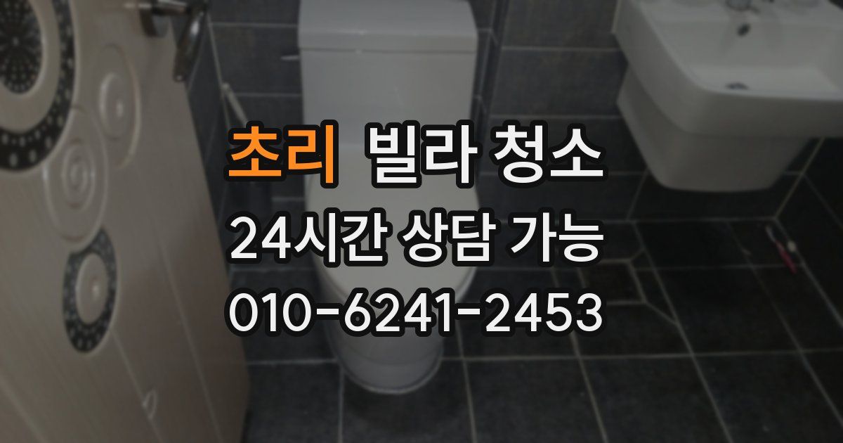 초리 빌라 청소