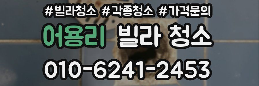 어용리 빌라 청소