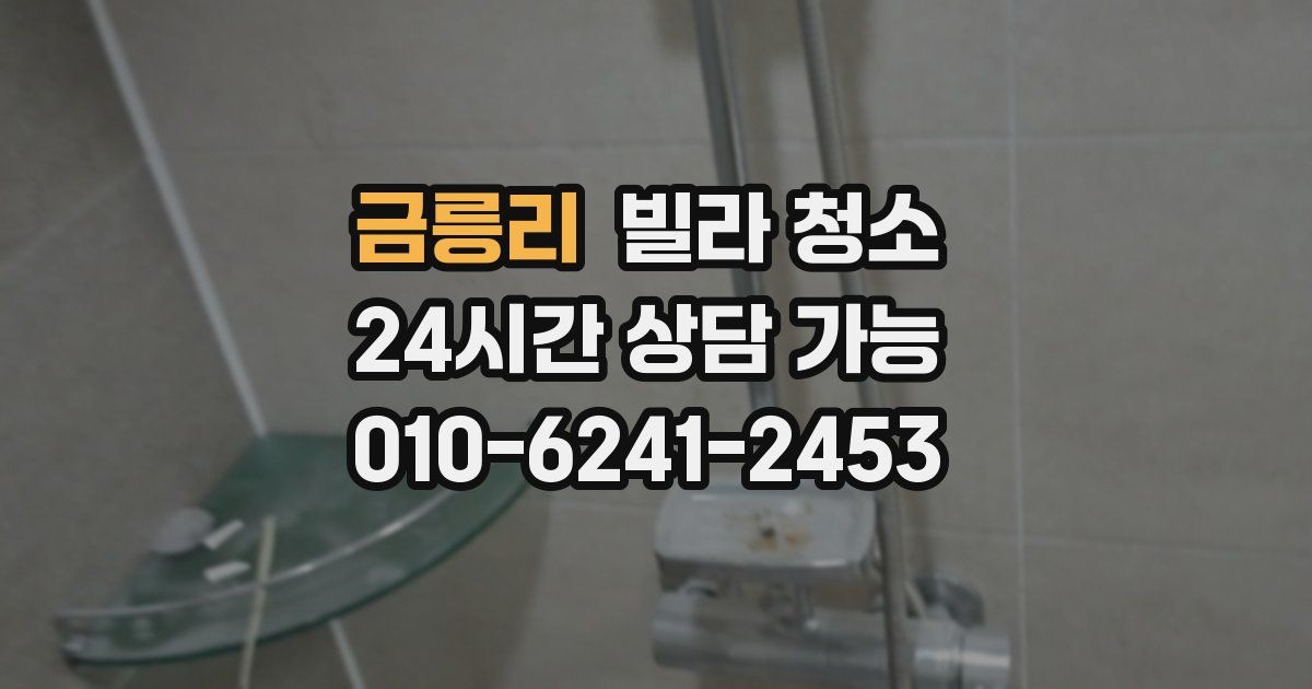 금릉리 빌라 청소