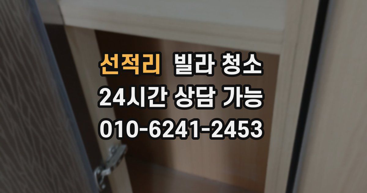 선적리 빌라 청소