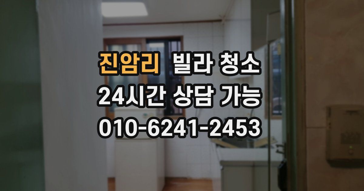 진암리 빌라 청소