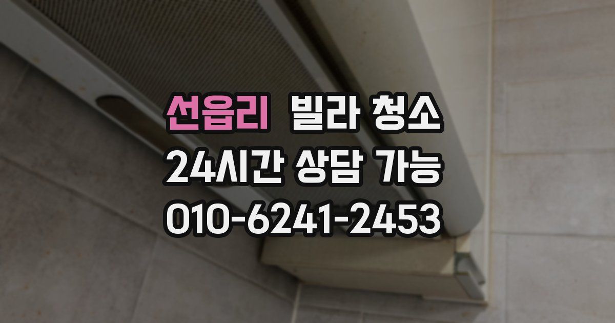 선읍리 빌라 청소