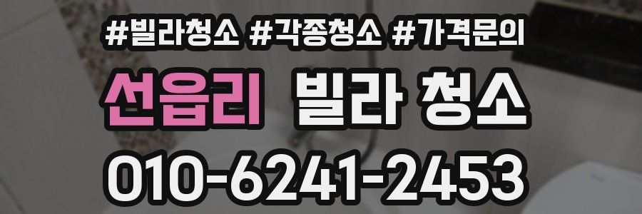 선읍리 빌라 청소