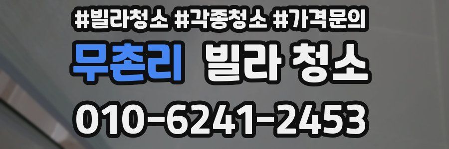 무촌리 빌라 청소