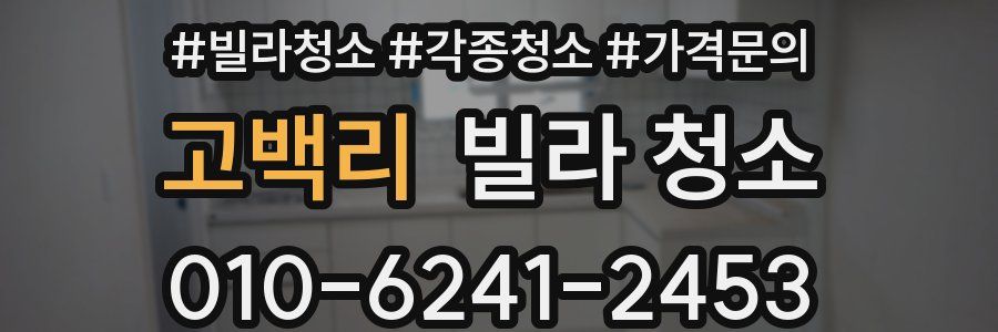 고백리 빌라 청소