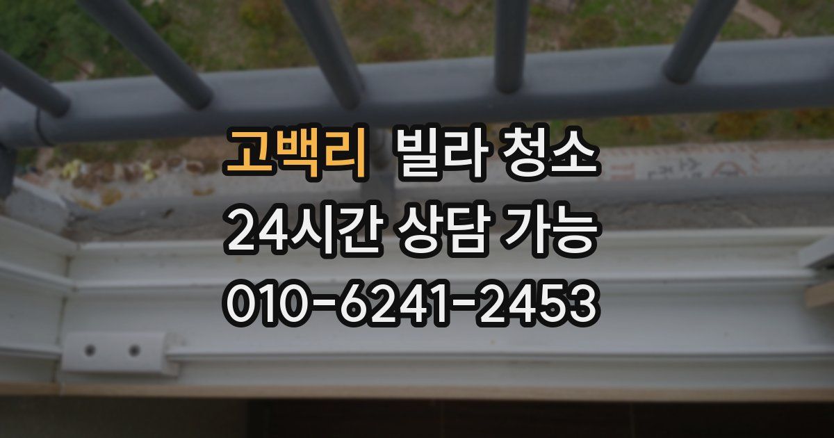 고백리 빌라 청소