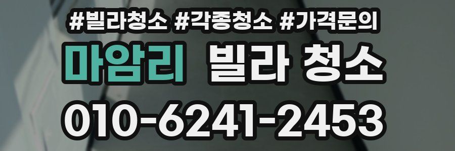 마암리 빌라 청소