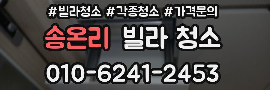 송온리 빌라 청소