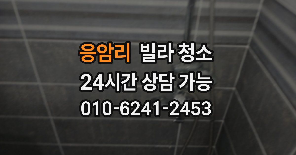 응암리 빌라 청소