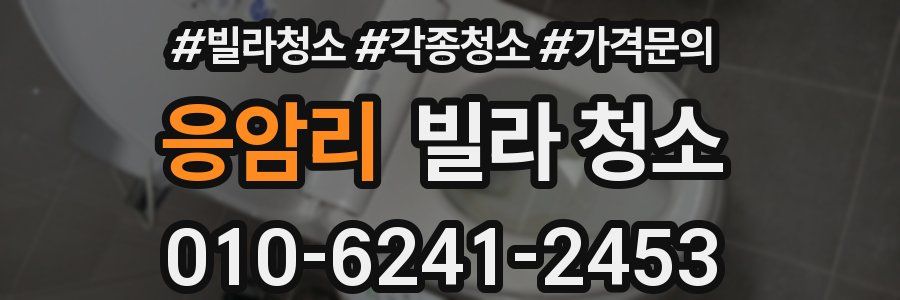 응암리 빌라 청소