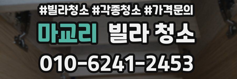 마교리 빌라 청소