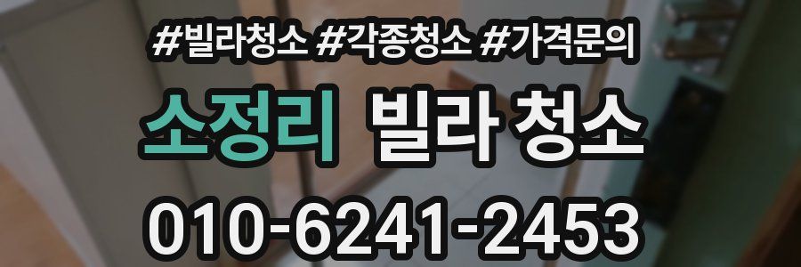 소정리 빌라 청소