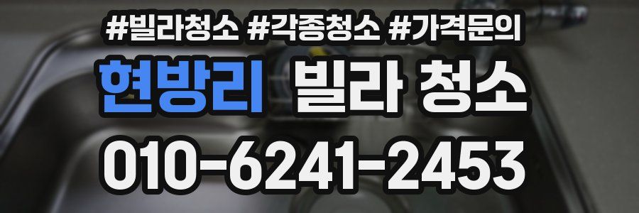 현방리 빌라 청소