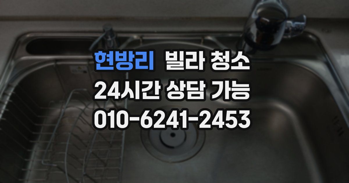 현방리 빌라 청소