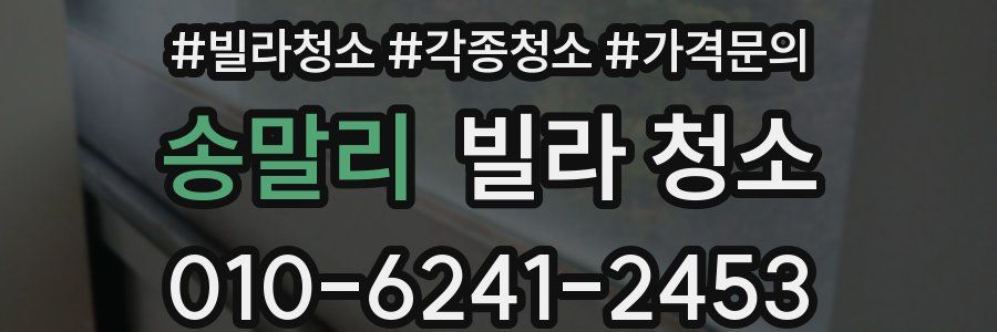 송말리 빌라 청소