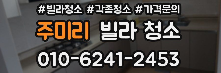 주미리 빌라 청소