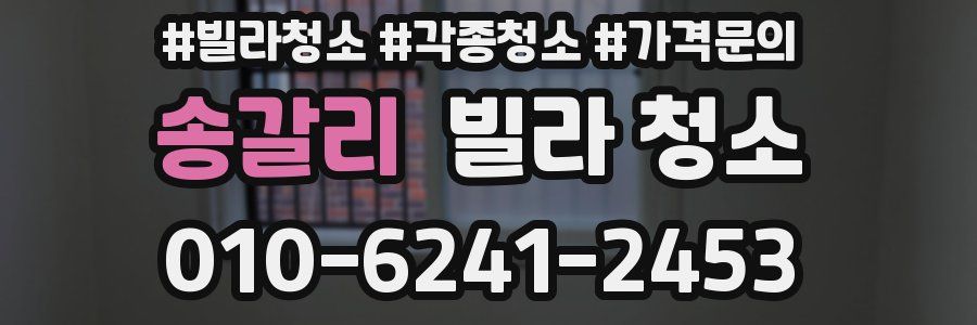 송갈리 빌라 청소