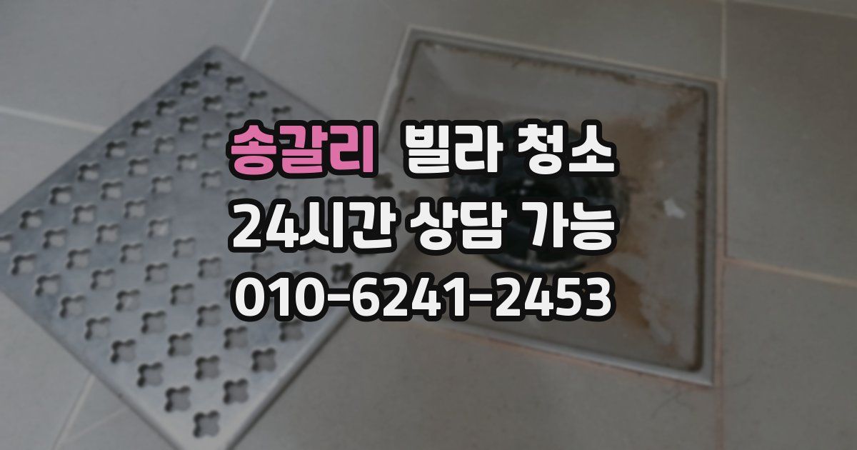 송갈리 빌라 청소