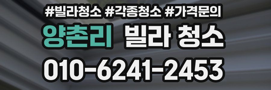 양촌리 빌라 청소