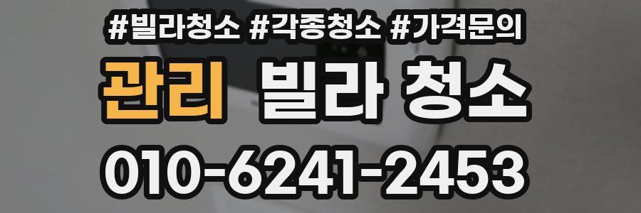 관리 빌라 청소