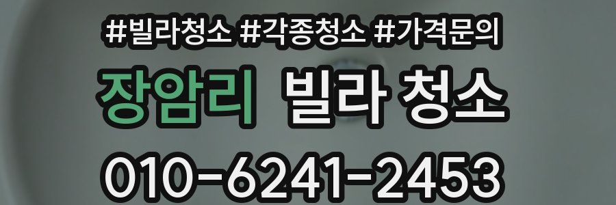 장암리 빌라 청소