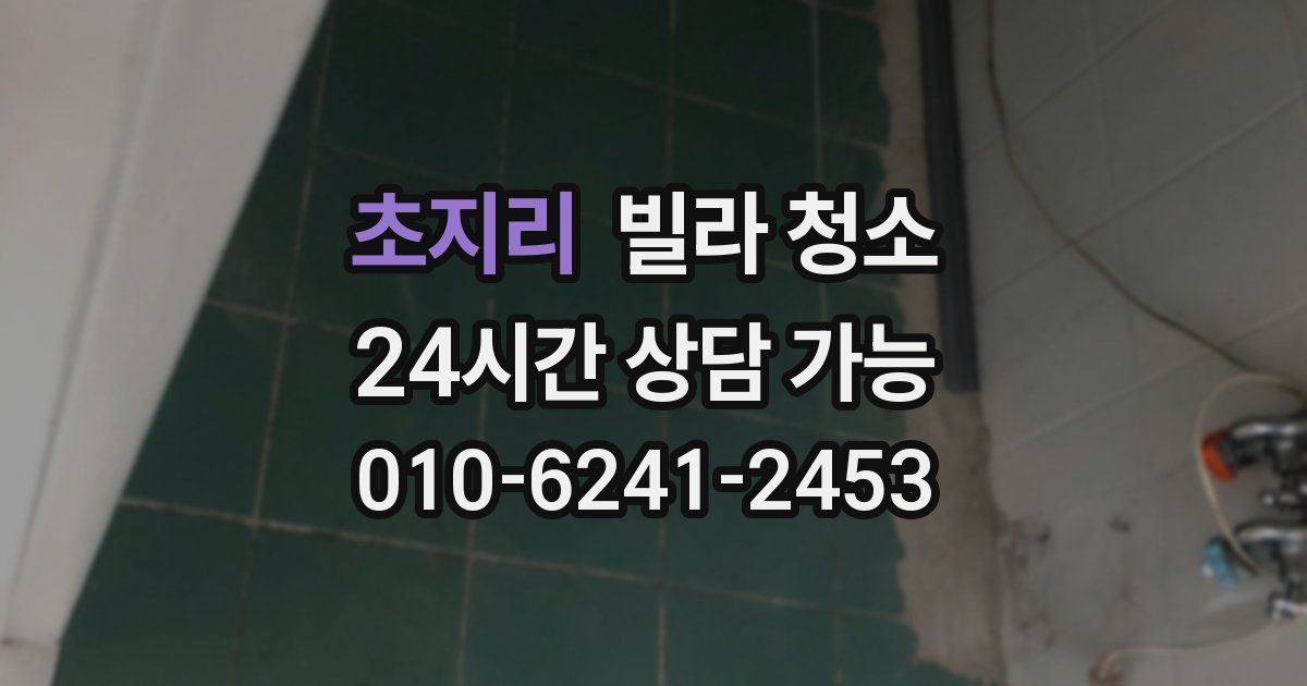 초지리 빌라 청소