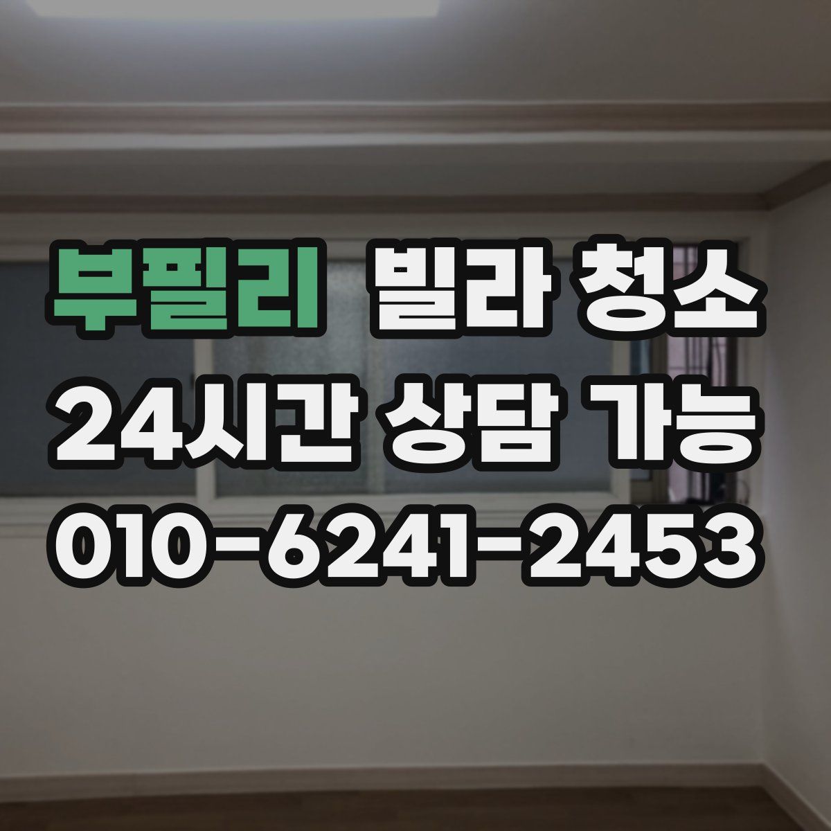 부필리 빌라 청소