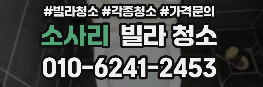 소사리 빌라 청소