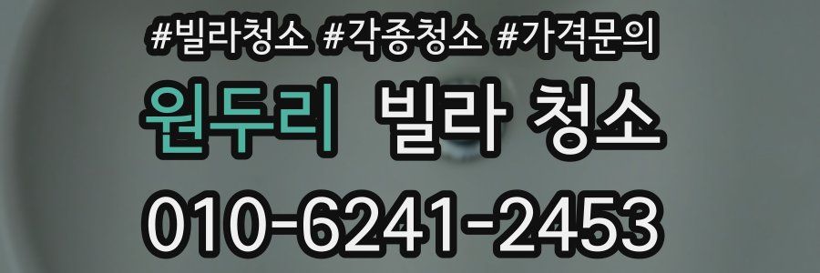 원두리 빌라 청소