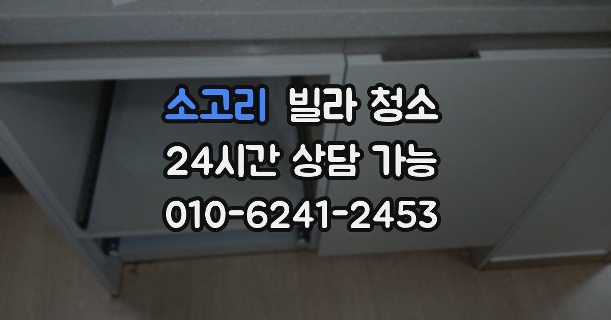 소고리 빌라 청소