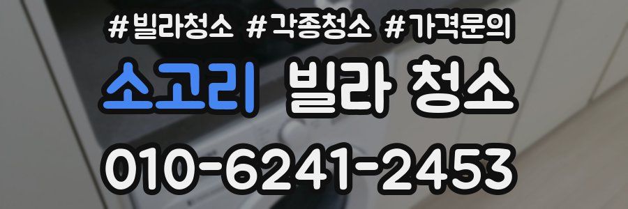 소고리 빌라 청소