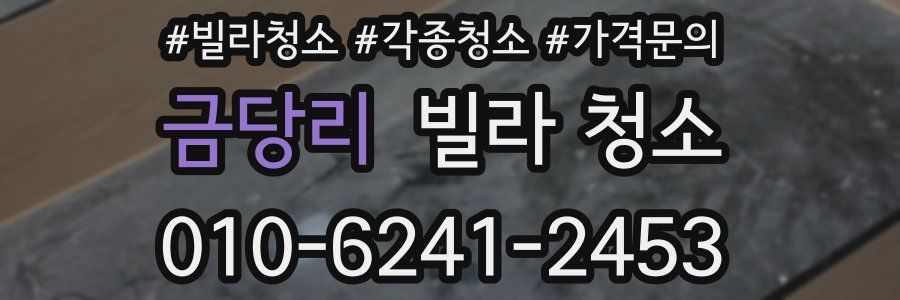 금당리 빌라 청소