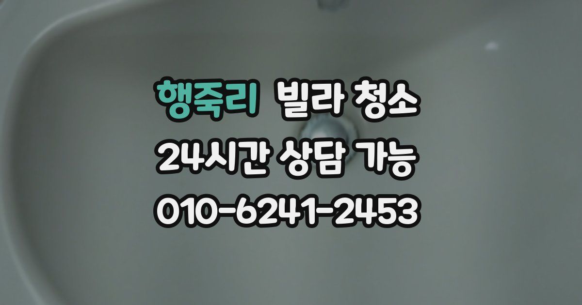 행죽리 빌라 청소