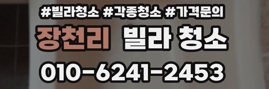 장천리 빌라 청소