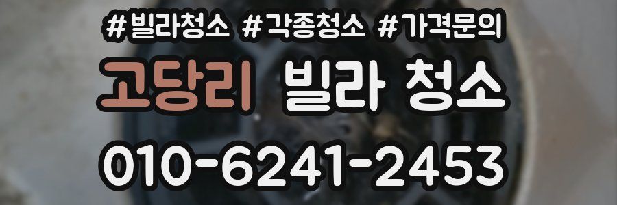 고당리 빌라 청소