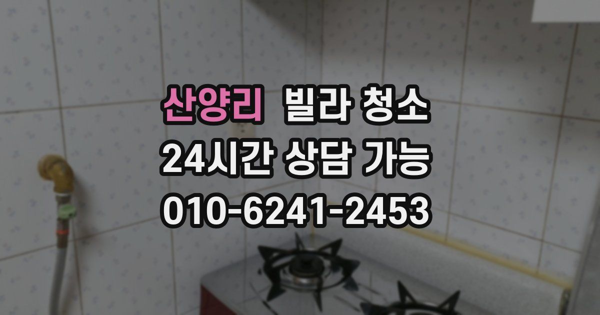 산양리 빌라 청소