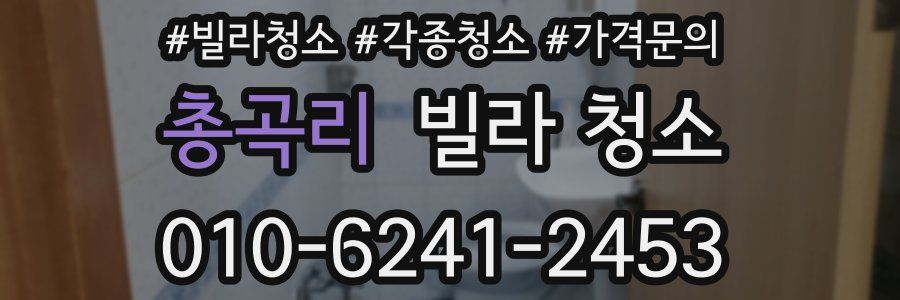 총곡리 빌라 청소