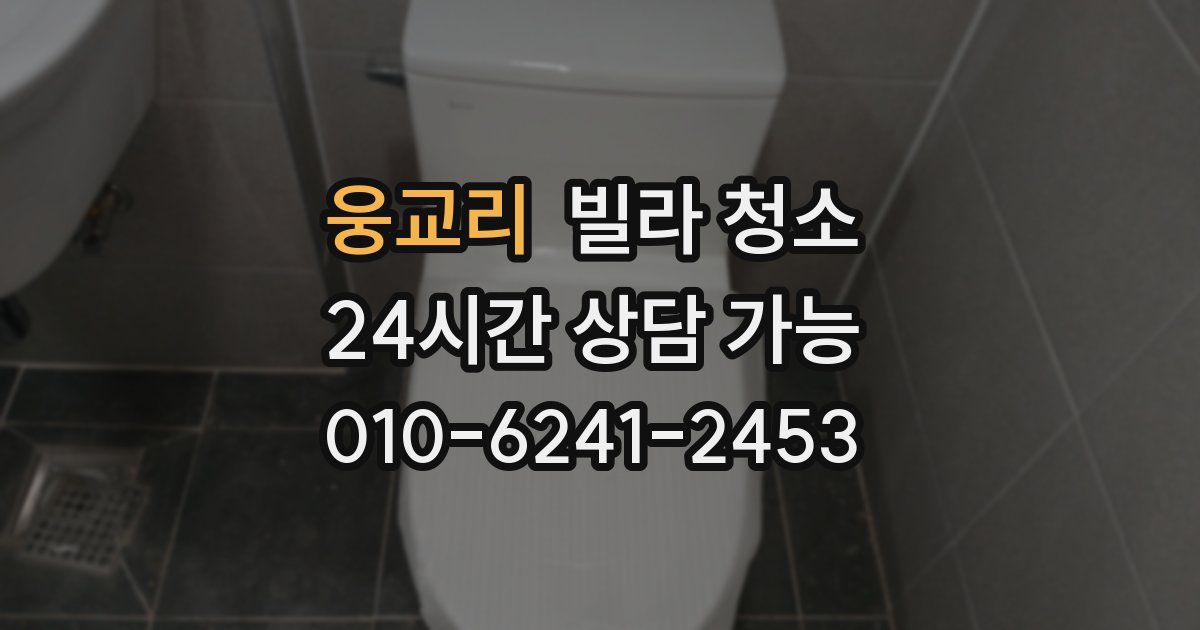 웅교리 빌라 청소