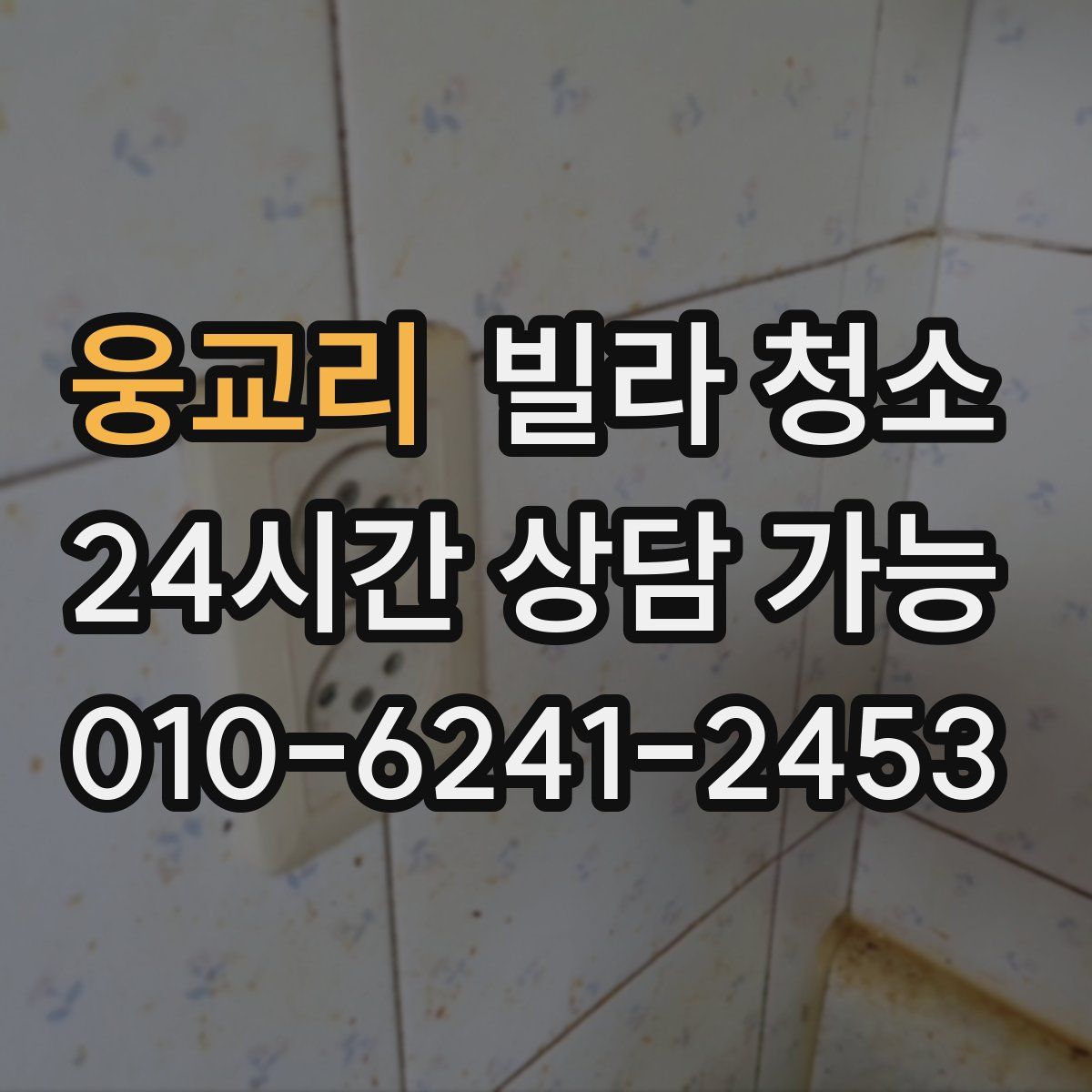 웅교리 빌라 청소