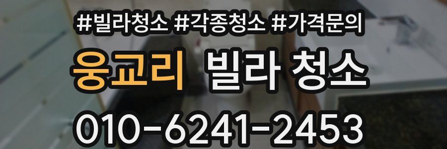 웅교리 빌라 청소