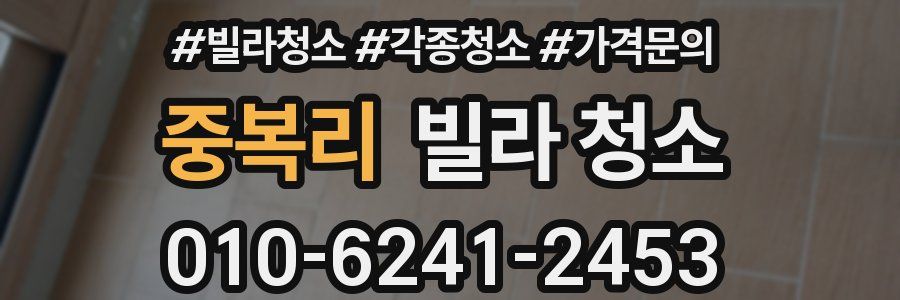 중복리 빌라 청소