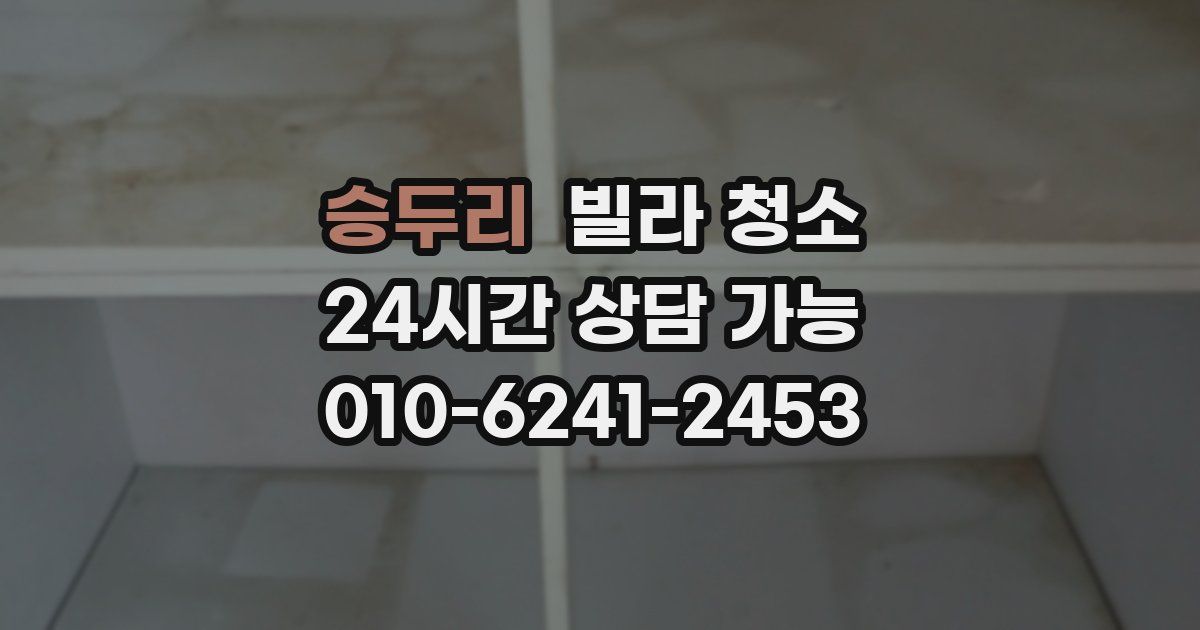 승두리 빌라 청소